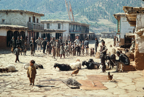 AF_CS00325.jpg AF_CS00325.jpg