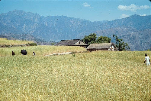 AF_CS00343.jpg AF_CS00343.jpg