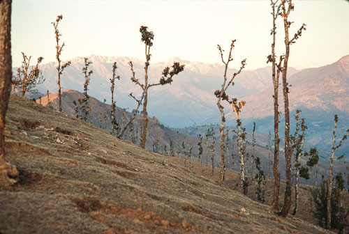 AF_CS00347.jpg AF_CS00347.jpg