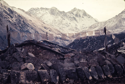 AF_CS00422.jpg AF_CS00422.jpg