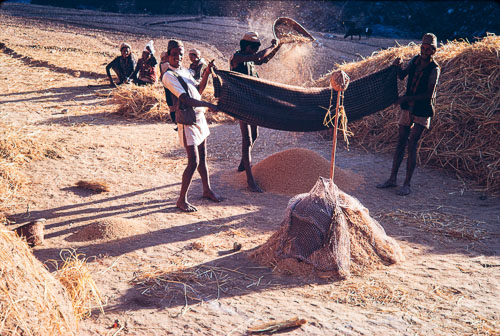 AF_CS00425.jpg AF_CS00425.jpg