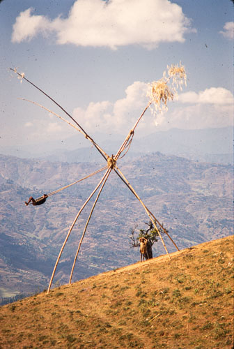 AF_CS00431.jpg AF_CS00431.jpg
