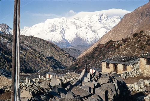 AF_CS00440.jpg AF_CS00440.jpg