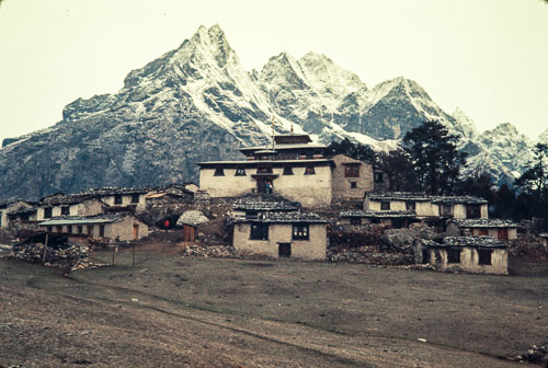 AF_CS00443.jpg AF_CS00443.jpg