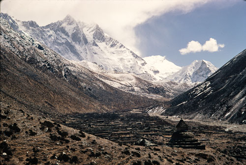 AF_CS00444.jpg AF_CS00444.jpg