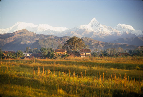 AF_CS00448.jpg AF_CS00448.jpg