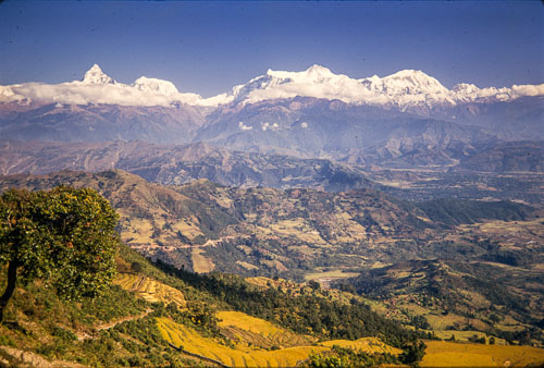 AF_CS00450.jpg AF_CS00450.jpg