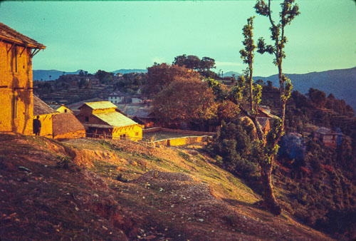 AF_CS00453.jpg AF_CS00453.jpg