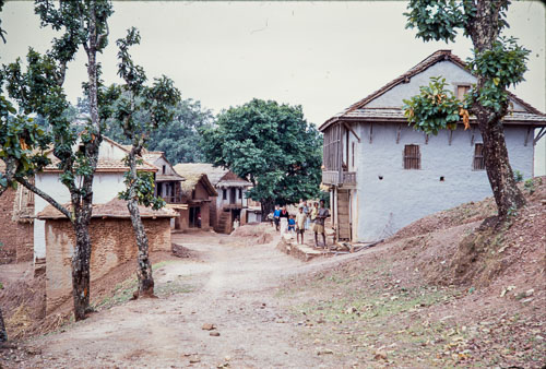 AF_CS00463.jpg AF_CS00463.jpg
