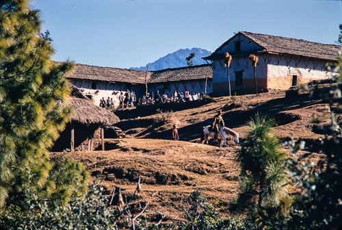 AF_CS00480.jpg AF_CS00480.jpg