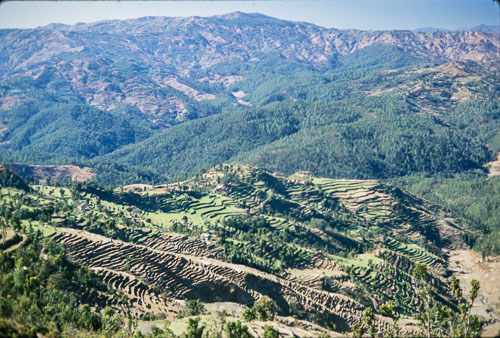AF_CS00481.jpg AF_CS00481.jpg