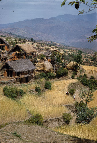 AF_CS00487.jpg AF_CS00487.jpg