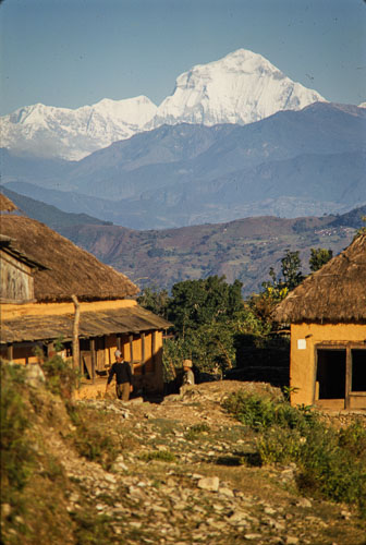 AF_CS00491.jpg AF_CS00491.jpg
