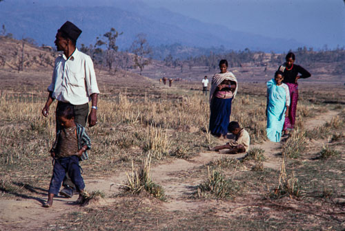 AF_CS00499.jpg AF_CS00499.jpg