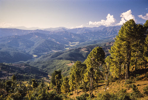 AF_CS00514.jpg AF_CS00514.jpg