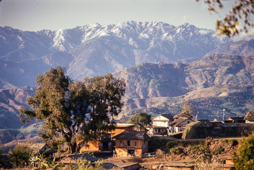 AF_CS00517.jpg AF_CS00517.jpg