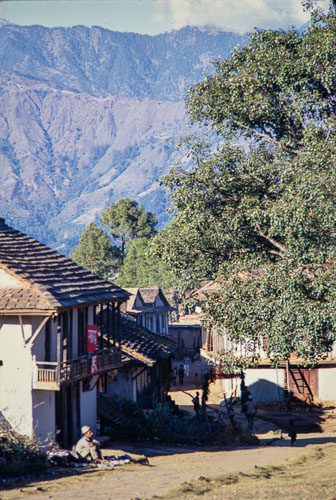 AF_CS00518.jpg AF_CS00518.jpg