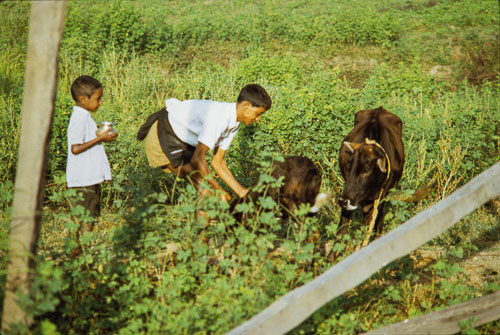 AF_CS00527.jpg AF_CS00527.jpg