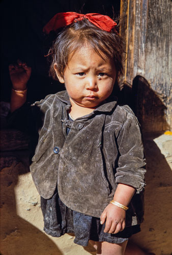 AF_CS00565.jpg AF_CS00565.jpg