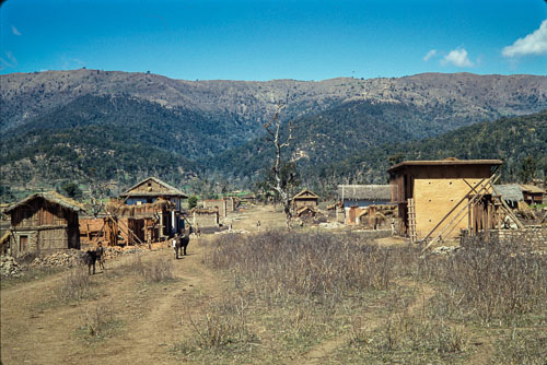 AF_CS00584.jpg AF_CS00584.jpg