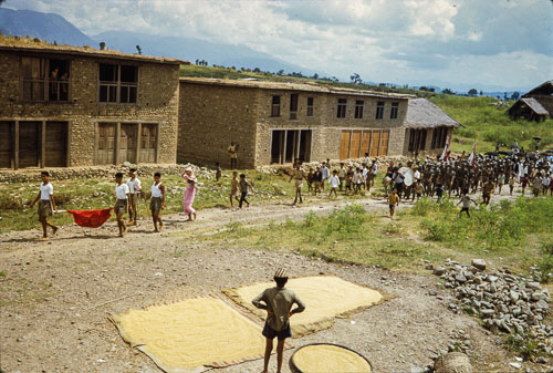 AF_CS00595.jpg AF_CS00595.jpg