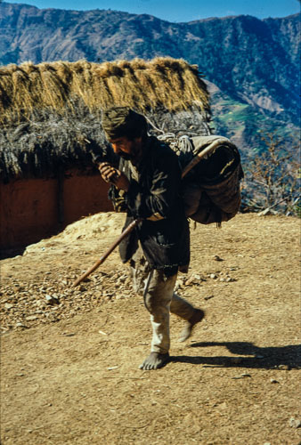 AF_CS00596.jpg AF_CS00596.jpg