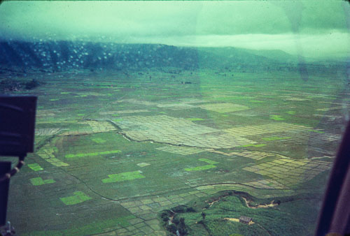AF_CS00597.jpg AF_CS00597.jpg