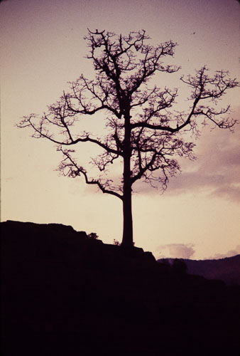 AF_CS00609.jpg AF_CS00609.jpg