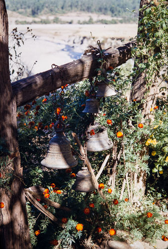 AF_CS00628.jpg AF_CS00628.jpg