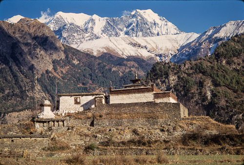 AF_CS00629.jpg AF_CS00629.jpg