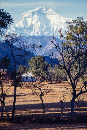 AF_CS00633.jpg AF_CS00633.jpg