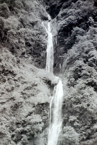 AD004.jpg AD004.jpg