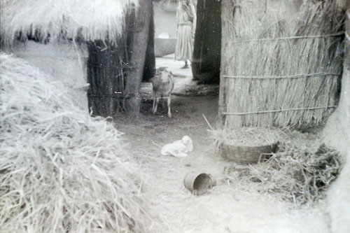 AD044.jpg AD044.jpg