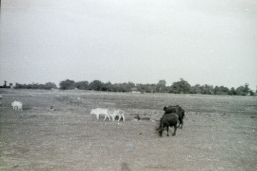 AD068.jpg AD068.jpg