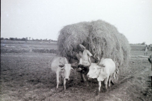 AD069.jpg AD069.jpg