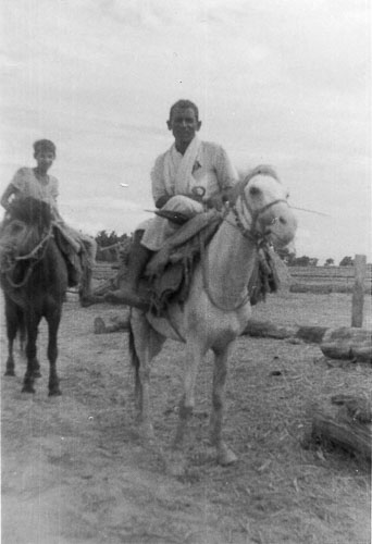 AD083.jpg AD083.jpg