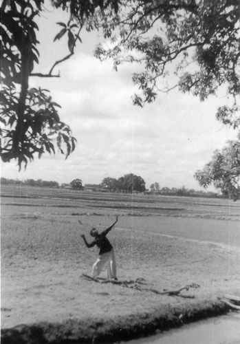 AD086.jpg AD086.jpg