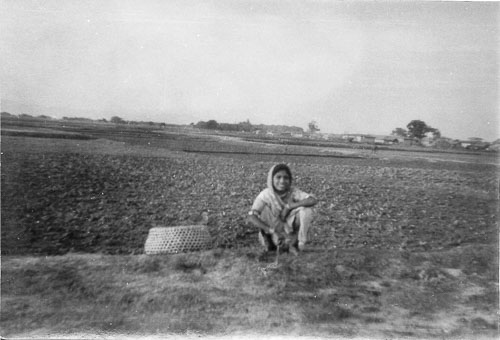 AD089.jpg AD089.jpg