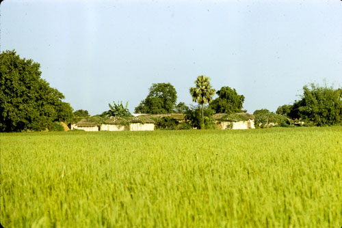 AD_FB00103.jpg AD_FB00103.jpg
