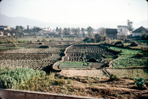 AD_FB00113.jpg AD_FB00113.jpg