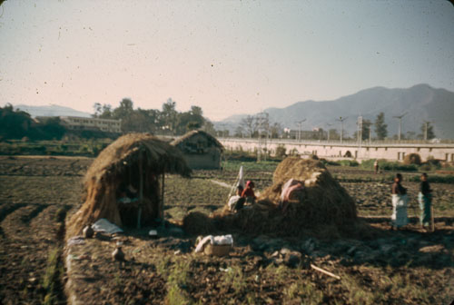 AD_FB0033.jpg AD_FB0033.jpg
