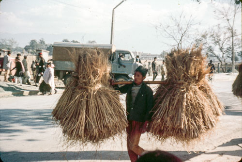 AD_FB0046.jpg AD_FB0046.jpg