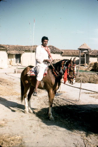 AD_FB0062.jpg AD_FB0062.jpg