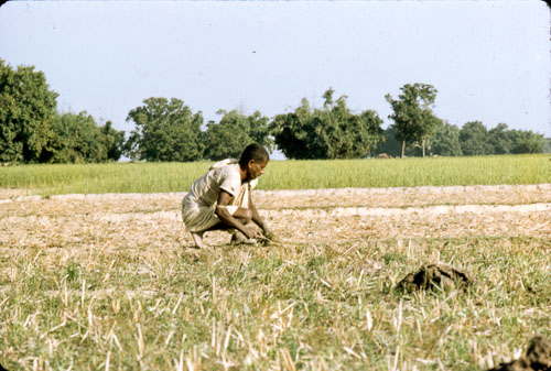 AD_FB0085.jpg AD_FB0085.jpg