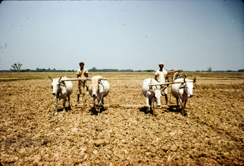 AD_FB0096.jpg AD_FB0096.jpg