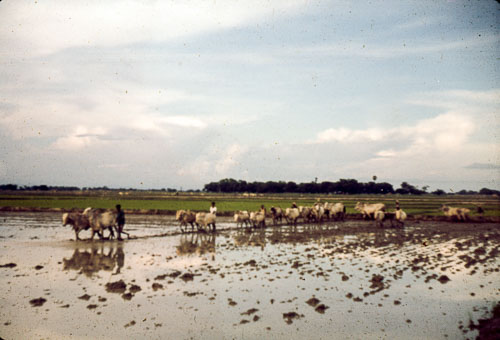 AD_FB0097.jpg AD_FB0097.jpg