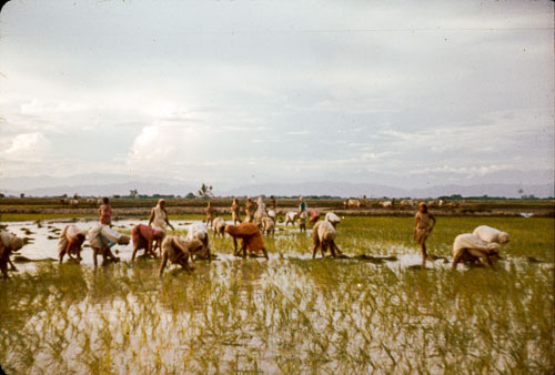 AD_FB0099.jpg AD_FB0099.jpg