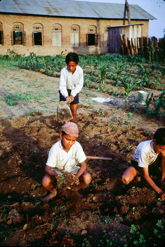 BP_FB00143.jpg BP_FB00143.jpg