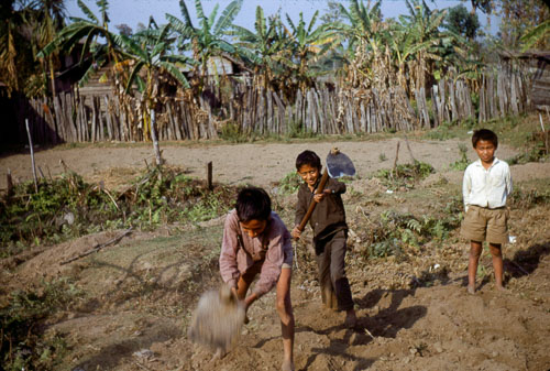 BP_FB00145.jpg BP_FB00145.jpg