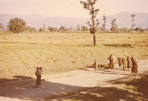 BPrentice005.jpg BPrentice005.jpg